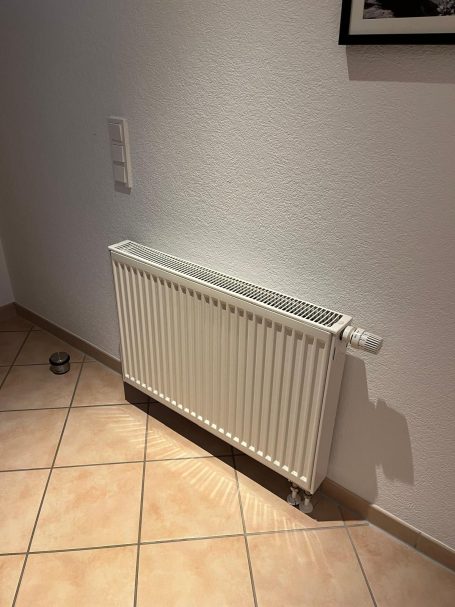 Heizkörper Diele Diele vorher